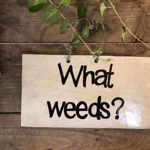 Home Decor Wall Hanging Sign "What Weeds?"  Ha